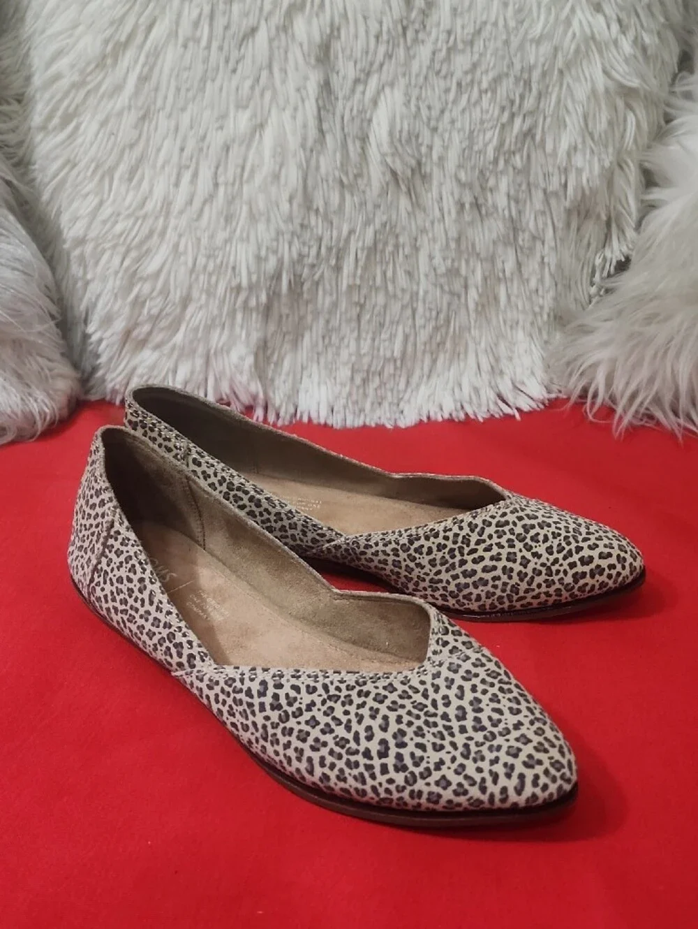 TOMS Women's Gemma Ballet Leopard Print Flats Shoes
